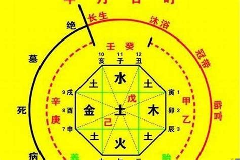 五行用神|生辰八字算命、五行喜用神查詢（免費測算）